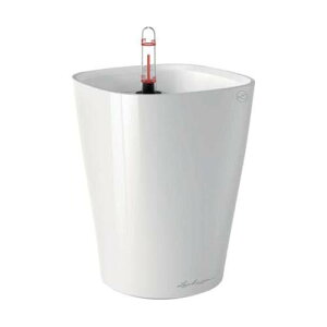 ʋv^[ feB[j ye1.2L zCg 14900