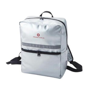 펝o ˃e[vt h^Cv 4201