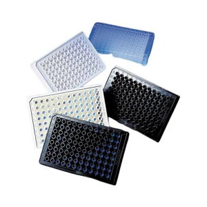 n[tGA96EFNA{gv[g זE|{\ʏς ŋۍς t^Ȃ 25*4pbN 3887A