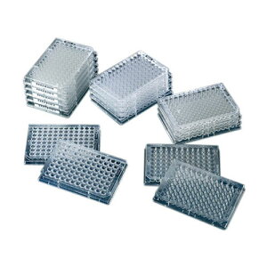 Cmv[g }LV\[v s`o[ 1(60) 442404