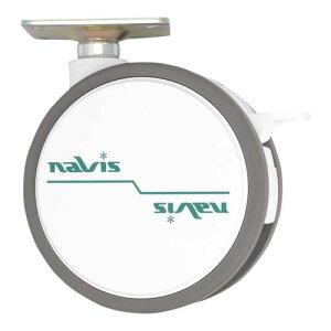 �i�r�X�L���X�^�[���a100mm �v���[�g �X�g�b�p�[�t�� FW100S-AZ
