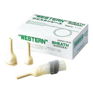 jp̔A EGX^V[X M 1 (12)