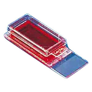 uebN (R) `Fo[XCh (TM) (p[}mbNX (TM) ) 1`Fo[ 1P[X (8*2) 177410JK