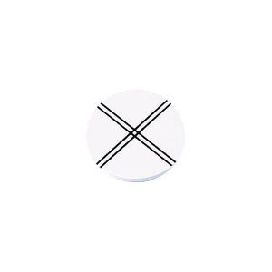 xv ʕW
