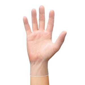 �r�j�[����� XS 100���� 809-XS