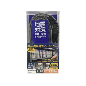 C[K[h bNp 2100 EGR-21