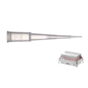 _CAh`bv DL10ST Tipack ŋۍ 0.1}CNL`20}CNL 96{*10 F171201