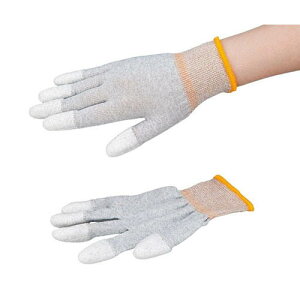 AYsAESDN[ (wR[g) SS 1 (10o)