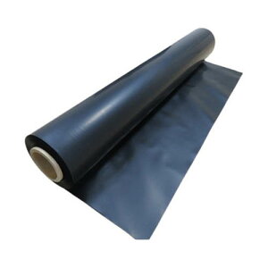 dtB HL-BV[g (Ǌ) 2{ B^S10