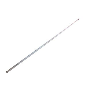 ԉt_󉷓xv 100x 600mm Zؖt