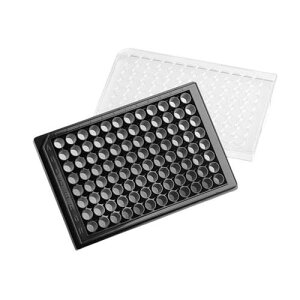 Elplasia v[g 96EF NA{gv[g XNGA{g ڒ\ 1*5pbN 4446