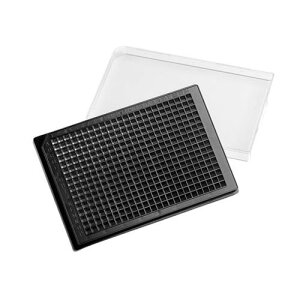 Elplasia v[g 384EF NA{gv[g XNGA{g ڒ\ 1*5pbN 4447