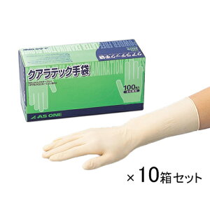 NAebN (DXpE_[t[) L 10 (1000)