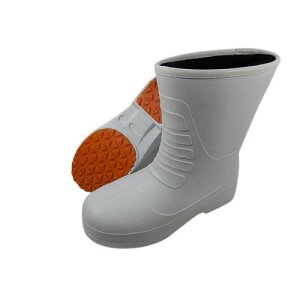 nCp[Vf^ yʖhqC zCg SS DSV-3600