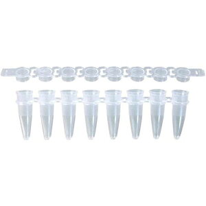 0.2mL 8�APCR�`���[�u+�t���b�g�L���b�v 120�X�g���b�v FG-028FC