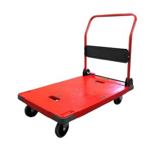 É (܂肽ݎEbhFEXyVu[Lt^300kg) DSK-R301B2
