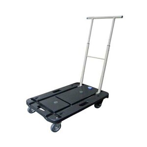  (܂肽ݎ^100kg) CC-211K