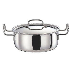 WI  22cm(3.5L) GEO-22T