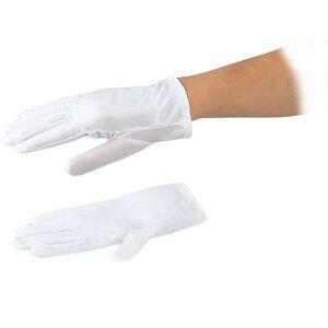 AYsA ho |GXe S 12o BPH-U