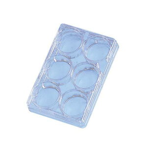 }`fBbV ی^ (6EF) 140675 1(1×75ܓ)