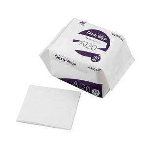 �L���b�`���C�v ���z���G���{�X���C�p�[ 120g 50���� A120�ynewnormal�z