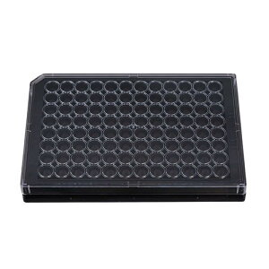 96EFKX{gv[g |W 1 (10) GP96001