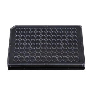 96EFKX{gv[g MAS 1 (10) GP96002