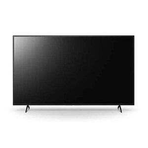 �t���f�B�X�v���C 65�^/3840x2160/HDMI/�u���b�N/�X�s�[�J�[�F���� (3�N�ۏ؁E�I���T�C�g�C���Ή�) FW-65BZ30L