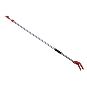 CLUB.J yʐLk} Wn Lb`t CJ-1901OR