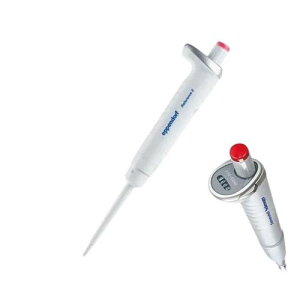 }CNsybg(t@X2Eeʉσ^Cv) 250`2500}CNL 4924000096