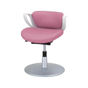 җp sR ~Ջr [Y KK-1R