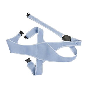 ԃCXxg (u[) LTCY No.4010