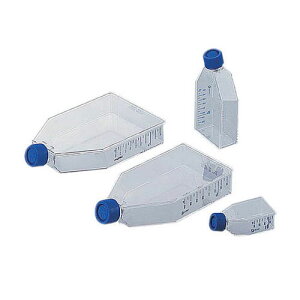 C[W[tXR 175cm2 (c[|WVLbv) 159920 1(5×6)