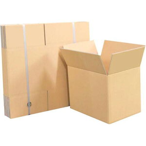 i{[ 100TCY 20 01150101