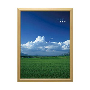 V |X^[z A2 i` VPF-A2NL
