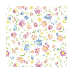 HEIKO ��� ���� �A���}���h 100�� 002312700