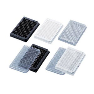 }CNEFv[g(96)Et^t זE|{ ubN 137101 1(1×50ܓ)