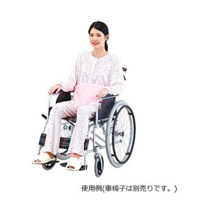 Ԉ֎qp\tgSxg KW00011