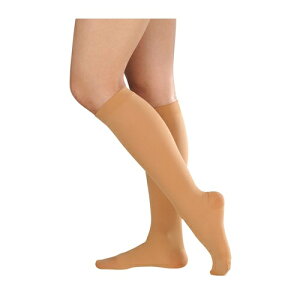 �A���V���N(R)�E2 �n�C�\�b�N�X (�ܐ悠��) ���C�g�u���E�� SS 18465