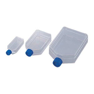 gD|{tXR 260mL 153732 1P[X(5×10)