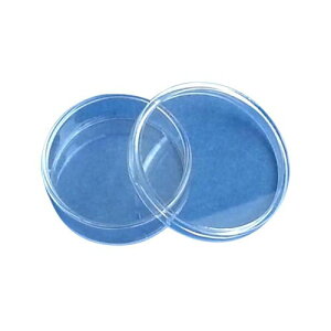 eʃfBbV a35*12mm Wt sdc5