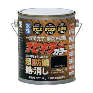 hKh TrL[J[ 1kg  B-SKCT^K01B