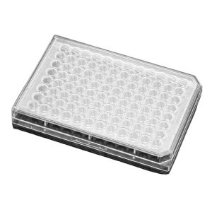 mg[ggv[g 96EF U t^t 1P[X (1*50pbN) 351177