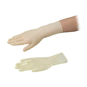 AYsAebNXII(sApbN)nCObv^Cv (SʃG{X) SS 1000