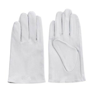 {  L 1P[X (10o) 5801