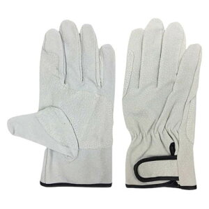 ؏v }WbNe[v Aet 10og MTCY AG547-10P-M