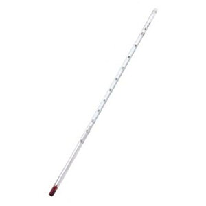 ԉt_󉷓xv 100x 450mm