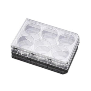 vC}A 6EF }`EFv[g  t^t 353846 1P[X(1×50pbN)