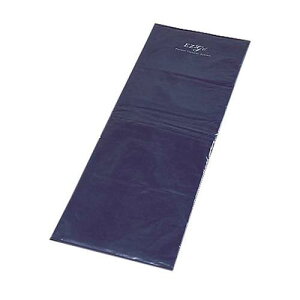 移乗用ボード EZ-go(R) (シートタイプ/550*1560mm) EZ-200