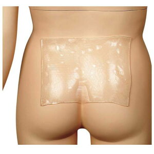 �P�A�V�[�gPUP (������\�h�V�[�g) L